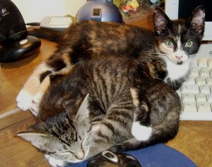 DSCI6078 - Kopie.JPG