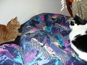 Garfield und Bonny.JPG