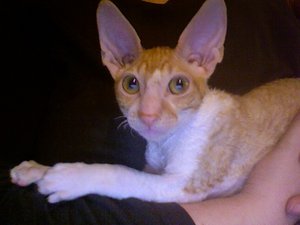 Foto am 15-02-2012 um 20.10 #6.jpg