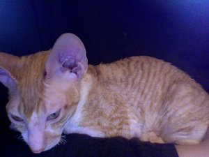 Foto am 16-02-2012 um 16.06.jpg