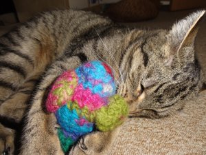 DSC01632 (1024x768).jpg