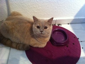 Ewa wartet auf essen.JPG