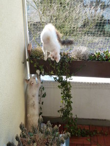 Balkon Ikea Flecki.jpg