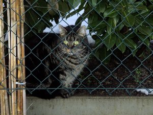 Winterwounderland II.Dez.2009 008.jpg