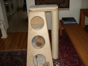 katzenpyramiede 002.jpg