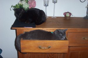 luna und andiamo.JPG