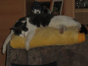 Minki u. Berry 023.jpg