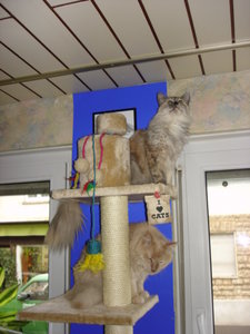 winter in stuttgart 2007,21.hochzeitstag 013.jpg