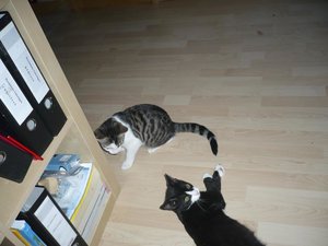 Max und Moritz 2.jpg