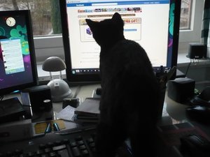 Max und der Cursor.jpg