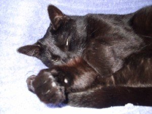 Mix NovDez 2007 319 [1600x1200].jpg