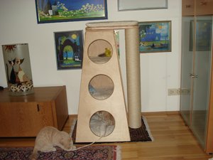 katzenpyramiede 003.jpg