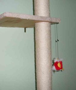 Kratzbaum an Wand montiert.jpg