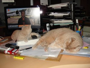 alle bilder bis 012010 199.jpg