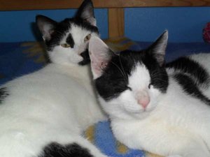 SDC10126 (600 x 450).jpg