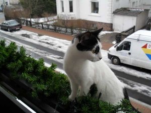 SDC10159 (600 x 450).jpg