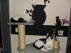 SDC10190 (600 x 450).jpg