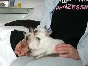 luna mit freundin1.JPG