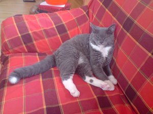 audi c4s4 20v-turbo 004.jpg