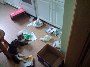 audi c4s4 20v-turbo 053.jpg