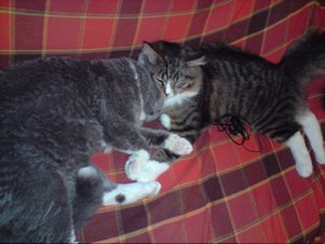 audi c4s4 20v-turbo 047.jpg