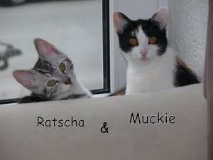 Ratsch muckie.jpg