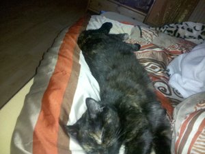 2009-12-17 21.00.14.jpg