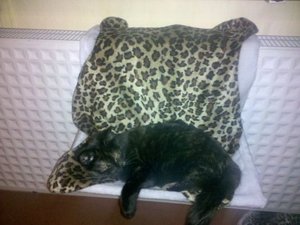 2010-01-30 17.56.06.jpg