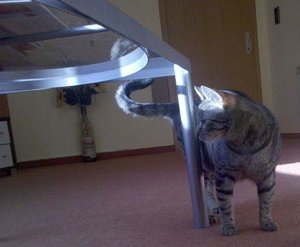 2010-02-17 10.45.51.jpg