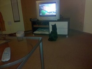 2009-12-12 18.25.19.jpg