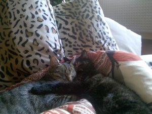 2009-12-23 13.54.34.jpg