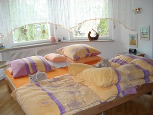 gissi im garten-schal.jpg