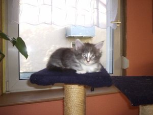 Kopie von 1-726759fb9af159372576bfc203f81cf6.jpg