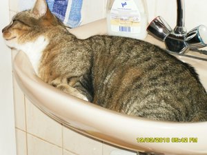 Bild 5 032 [800x600].jpg