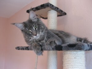 Waliano 9 Monate (7).jpg