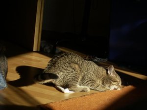 Alle Bilder vom mir 1492_800x600.jpg