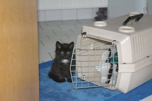 Felix und Zoey 001.jpg