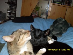 Bild 2 012 [800x600].jpg