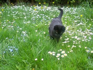 100_1237.jpg 100_1237.jpg