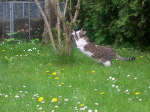 100_1227.jpg 100_1227.jpg