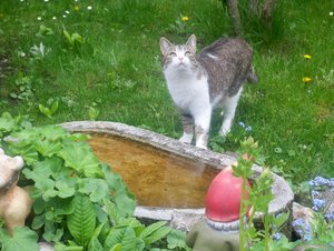 100_1228.jpg 100_1228.jpg