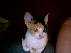 Foto am 02-03-2012 um 07.33 #2.jpg