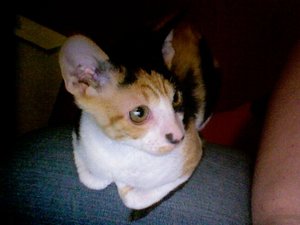 Foto am 02-03-2012 um 07.33 #4.jpg