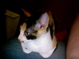 Foto am 02-03-2012 um 07.33 #5.jpg