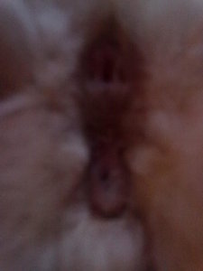 cremi hinterteil 002.jpg