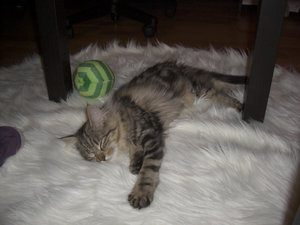 Pina 2 (27.11.-18.12.2011) 140.jpg