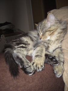 Pina 2 (27.11.-18.12.2011) 072.jpg