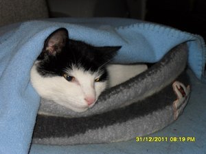 winterzeit 002 [800x600].jpg