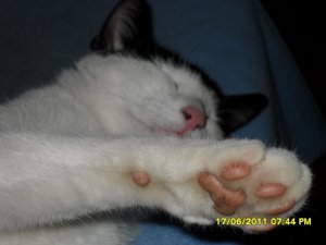 mütze ganz nah [800x600].jpg