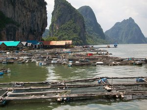 Thailand 1     April 2011 302.JPG